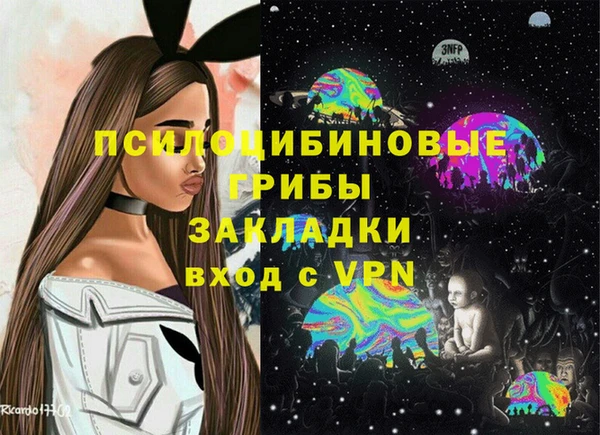амф Алексин