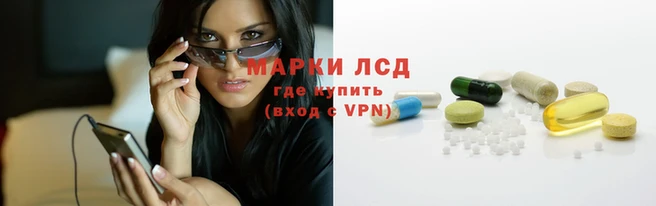 тгк Алзамай