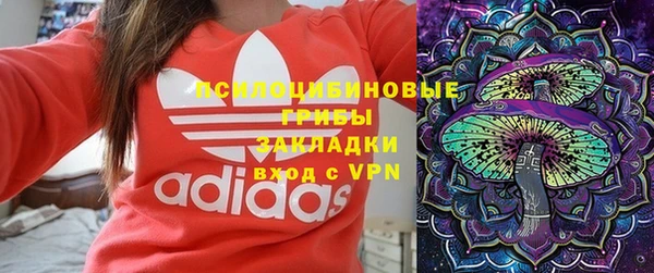 амф Алексин