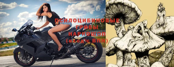 тгк Алзамай