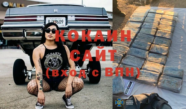 тгк Алзамай