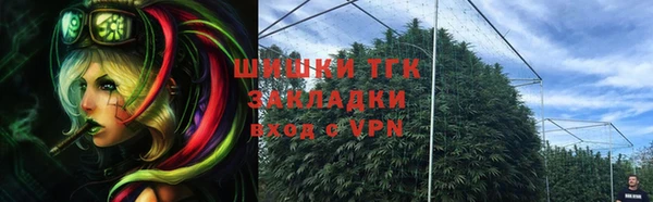 тгк Алзамай