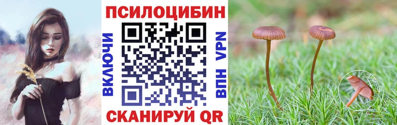 наркота  Гаджиево  Галлюциногенные грибы Magic Shrooms 