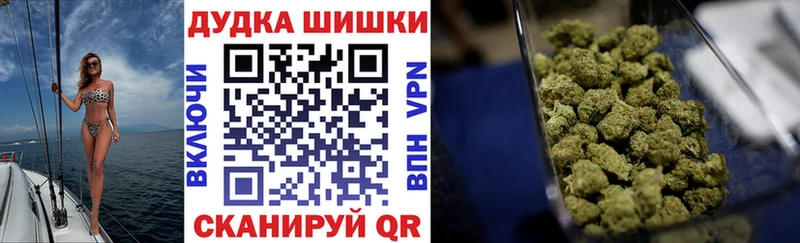 Каннабис Amnesia  купить   Гаджиево 